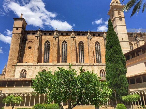 1 Hour Electric Scooter Tour in Palma - Getting Oriented on Palma, One Hour at a Time