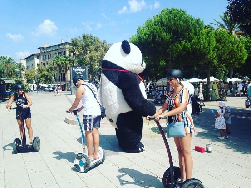 1 Hour Segway tour in Palma de Mallorca - Guide Quality in Palma: Juan, Mario, and Clear Safety Coaching