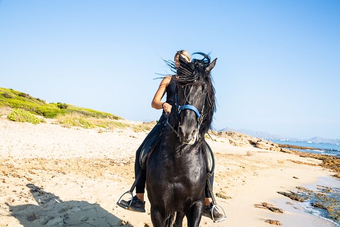 3-Hour Beach Horse Riding to Discover the Beauty of Alcudia Bay - Key things I’d plan around before you go