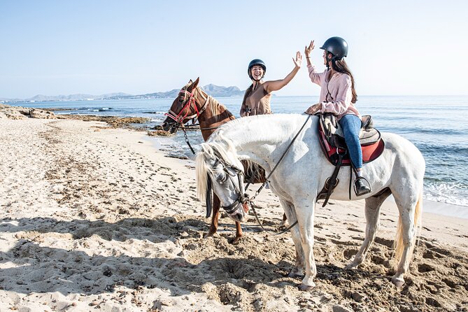 3-Hour Beach Horse Riding to Discover the Beauty of Alcudia Bay - Stops, Breaks, and How To Keep The Heat From Winning