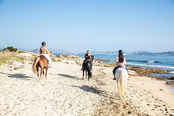 3-Hour Beach Horse Riding to Discover the Beauty of Alcudia Bay - Group Size, Guide Energy, and Feeling Safe Around Others