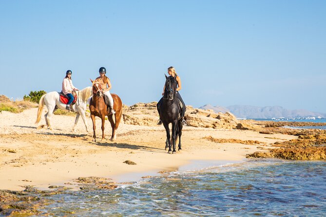 3-Hour Beach Horse Riding to Discover the Beauty of Alcudia Bay - Price and Value, At $90.12 for 3 Hours