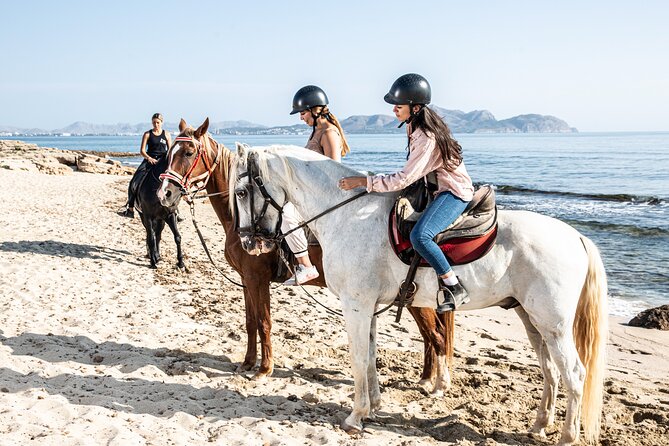3-Hour Beach Horse Riding to Discover the Beauty of Alcudia Bay - Who Should Book This Alcudia Bay Horse Ride