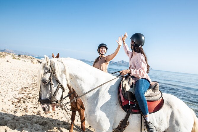 3-Hour Beach Horse Riding to Discover the Beauty of Alcudia Bay - Should You Book It?