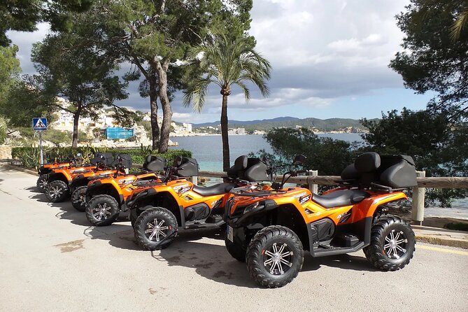 3 hours quad tour from Paguera - Magaluf, Palmanova, and the coast in one fast sweep