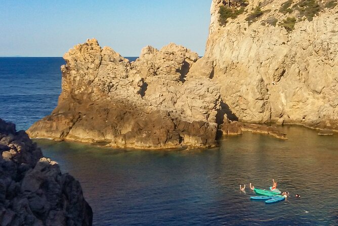 90' Stand Up Paddle tour in a small group in Cala Ratjada - The Paddle Itself, Seeing Cala Ratjada From the Water