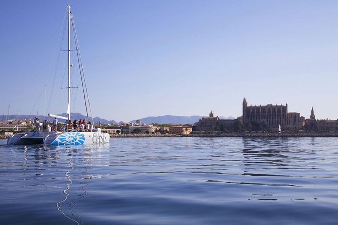 Adult Only Sunset Catamaran Palma bay - La Cueva Verde: the swim stop you will actually use