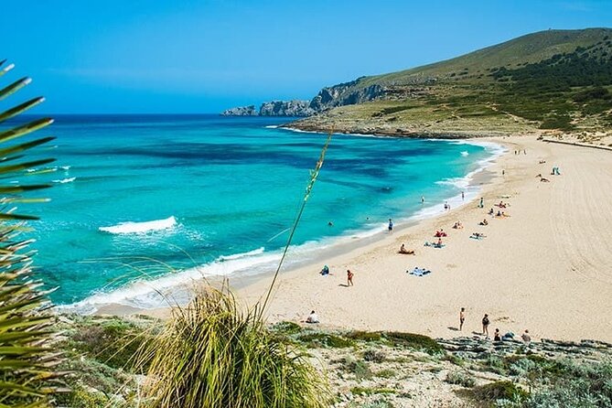Afternoon Snorkel & Paddle Surf Experience in a Secret Spot - Key highlights you’ll care about