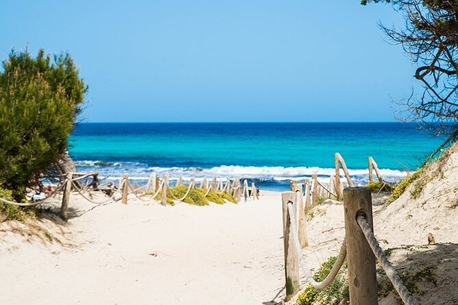 Afternoon Snorkel & Paddle Surf Experience in a Secret Spot - Stop: Playa Maioris and the Deltas canal paddle at sunset