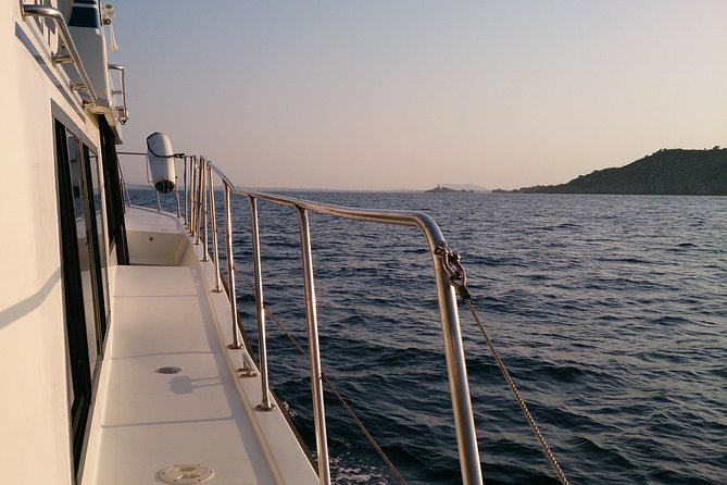 Alcudia 3hr Sunset Trip with Drinks, Tapas, SUP & Snorkel - Wildlife and Local Color: A Lighthouse Stop Isn’t Just a Photo