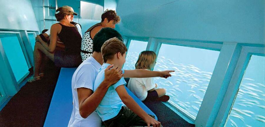 Alcudia: Boat Trip to Coll Baix - Glass-bottom expectations: what you should hope to see