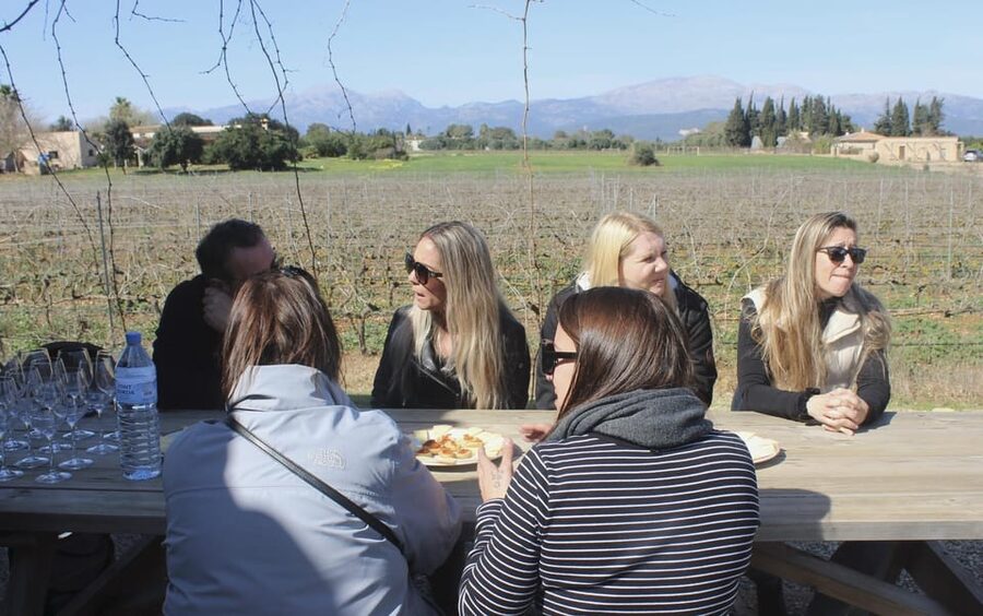 Alcúdia/Can Picafort: Guided Vineyard Visit and Wine Tasting - Should you book this Alcúdia wine tour?