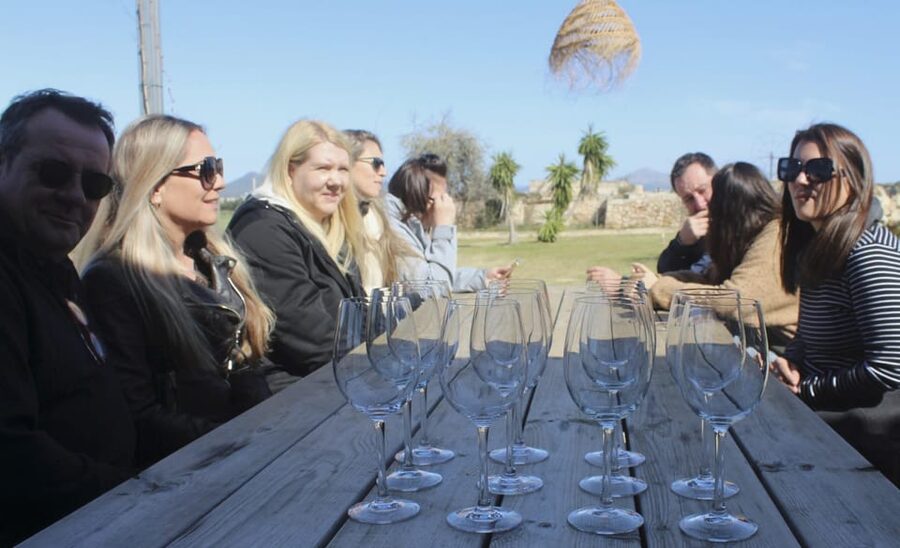Alcúdia/Can Picafort: Guided Vineyard Visit and Wine Tasting - Tasting five exclusive wines with local nibbles