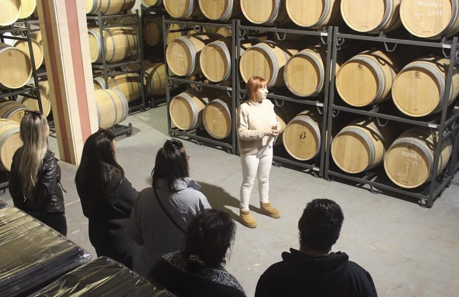 Alcúdia/Can Picafort: Guided Vineyard Visit and Wine Tasting - Taking Mallorca wine home: special prices and simple buying strategy