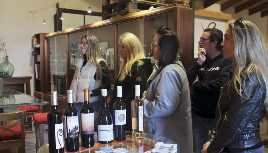 Alcúdia/Can Picafort: Guided Vineyard Visit and Wine Tasting - Price and included extras: why $58 can be good value