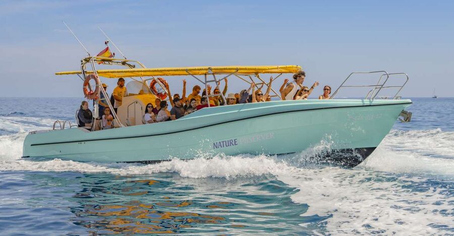 Alcudia: Coll Baix Beach & Sea Caves Cruise with Snorkeling - Key highlights to look for on this cruise