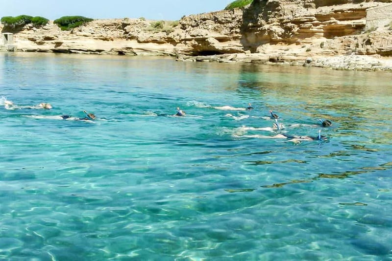 Alcudia: Formentor Beach, Lighthouse Cruise, and Small Group - Cap Pinar snorkeling: where the trip turns from pretty to hands-on