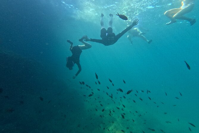 Alcudia: Guided Sea Kayaking & snorkelling Tour (day & sunset) - The Victory reserve: sea caves, marine secrets, and cliff walls