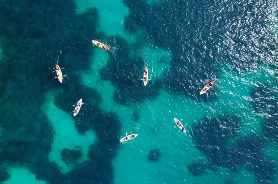 Alcudia: Guided Sea Kayaking Tour with Snorkeling - Price and value: about $53 for 2 hours on the water with gear and insurance