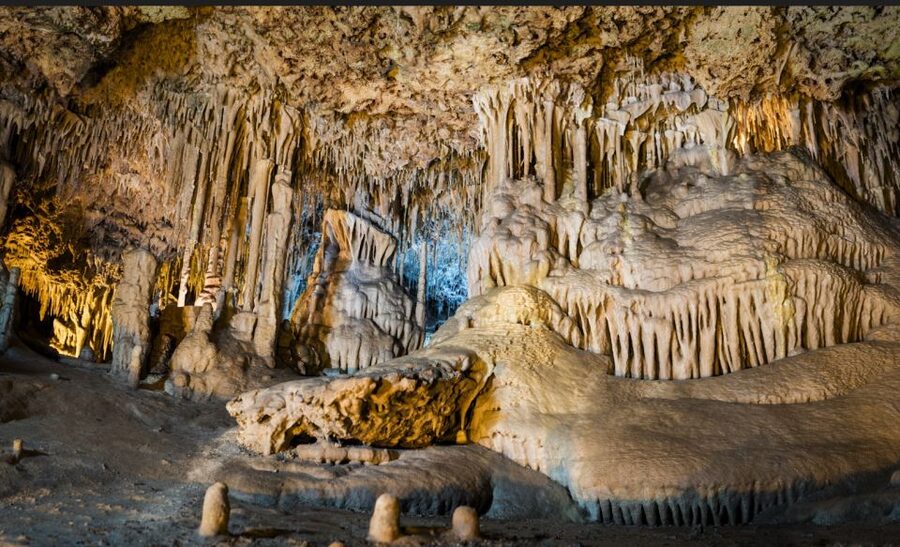 Alcudia: Half-day Caves of Hams, Blue Caves and documentary - The Dinosaurland factor next door: how it changes the day