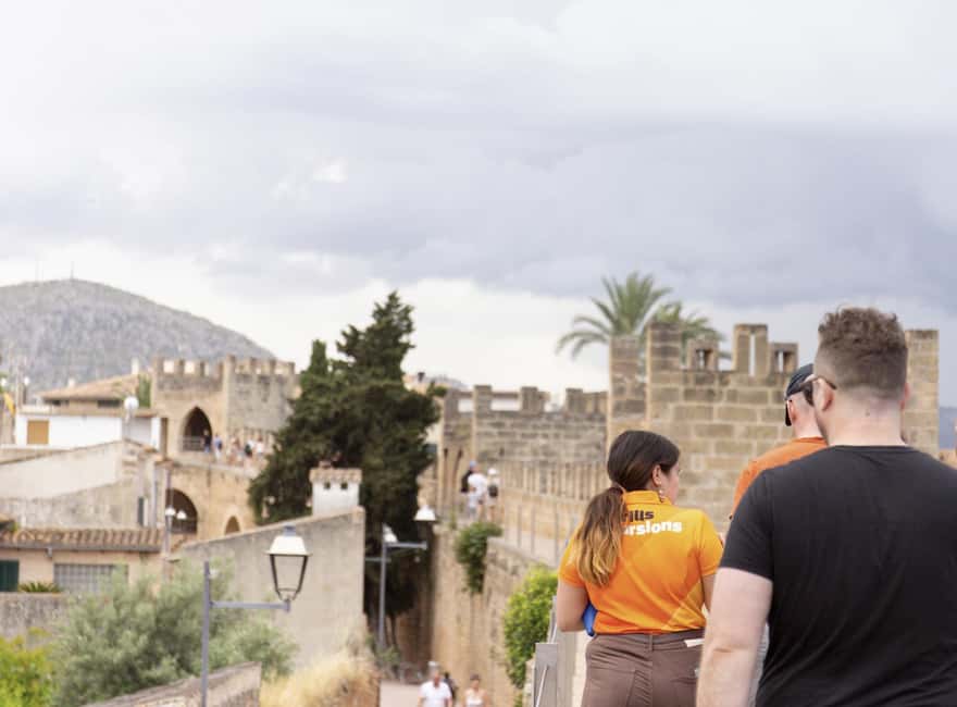 Alcudia Old Town Private Tour - Roman ruins and the old brewery: history stops that your guide can plug in