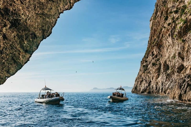 Alcudia or Can Picafort: Dolphin-Watching Cruise - Key points to know before you go