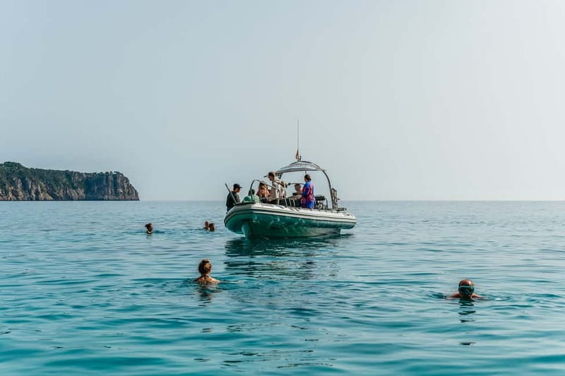 Alcudia or Can Picafort: Dolphin-Watching Cruise - What to bring so you actually enjoy the bouncy parts