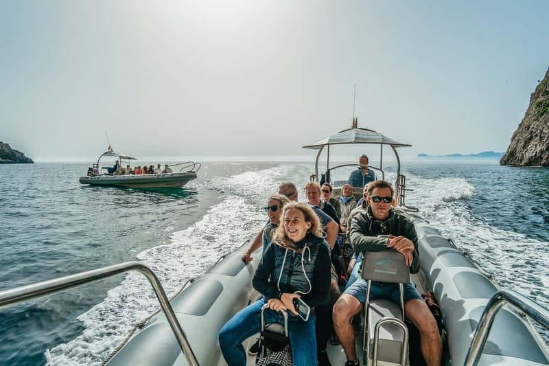 Alcudia or Can Picafort: Dolphin-Watching Cruise - Sea caves by boat: short, scenic, and easy