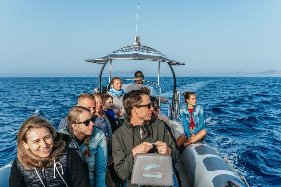 Alcudia or Can Picafort: Dolphin-Watching Cruise - The Es Coll Baix swim stop: why this cove feels special