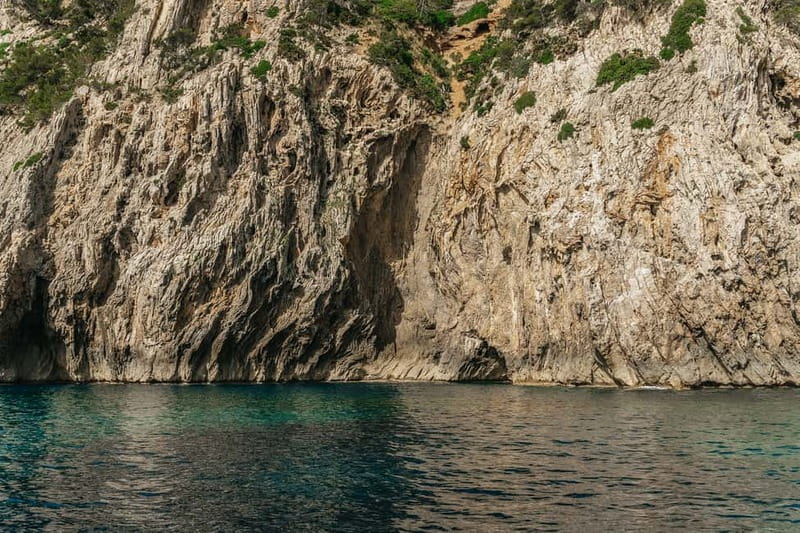 Alcudia or Can Picafort: Dolphin-Watching Cruise - Sunrise vs afternoon cruise: choosing your timing