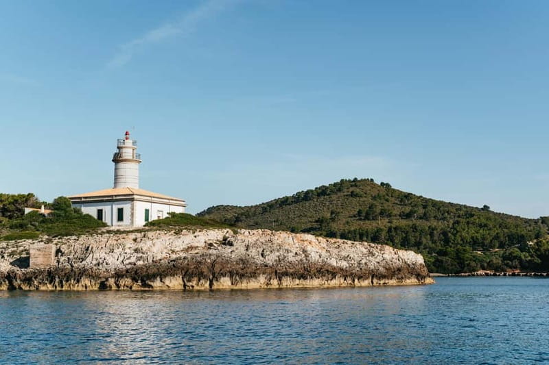 Alcudia or Can Picafort: Dolphin-Watching Cruise - The dolphin hunt: what actually makes this work