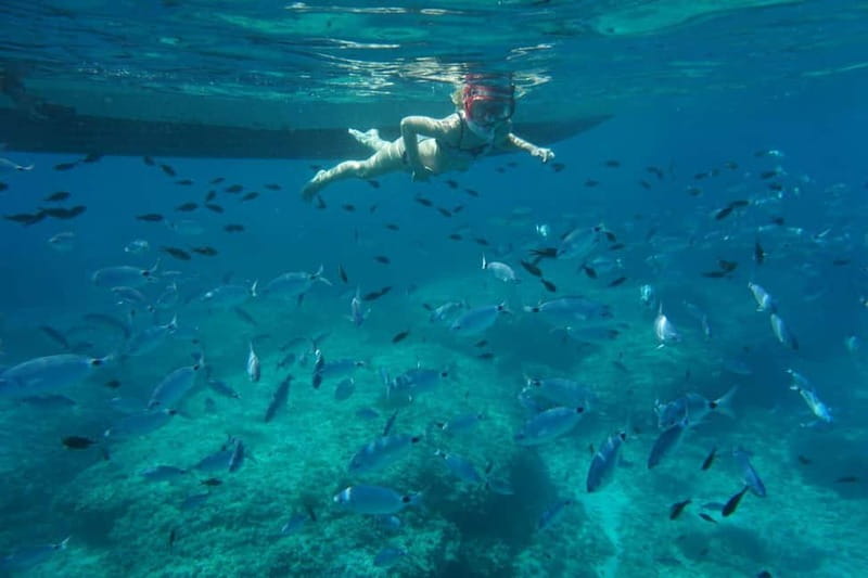 Alcudia: Sea Caves Coves and Snorkeling in small groups - Why Llevant Nature Park sea caves feel special from the start