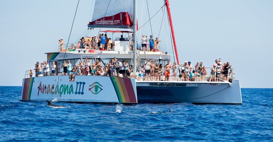Alcudia: Sunset Catamaran Tour with Dinner and Snorkeling - Why this Alcudia sunset catamaran works so well