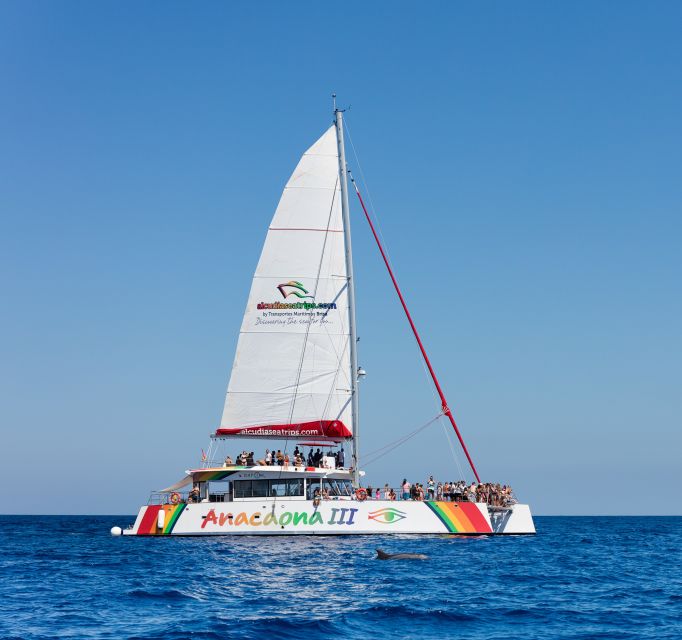 Alcudia: Sunset Catamaran Tour with Dinner and Snorkeling - Dinner onboard: BBQ buffet that actually fills you up