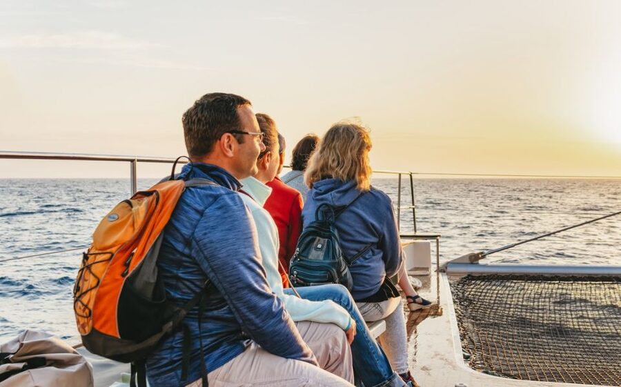 Alcudia: Sunset Catamaran Tour with Dinner and Snorkeling - Price and value at about $77 per person