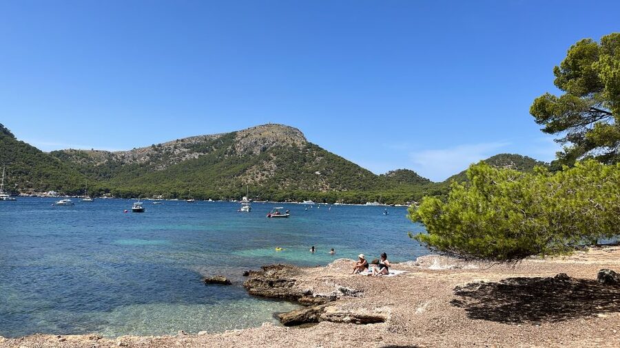 Alcudia: Traditional Wooden Boat Trip with Snorkeling - Pier 5 to Port d’Alcúdia: simple meeting point, no hotel pickup drama