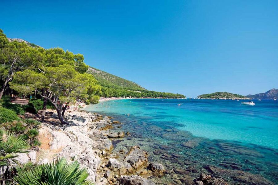 Alcudia: Trip to Formentor Beach - Timing at Formentor: swim early, photos early, eat smart