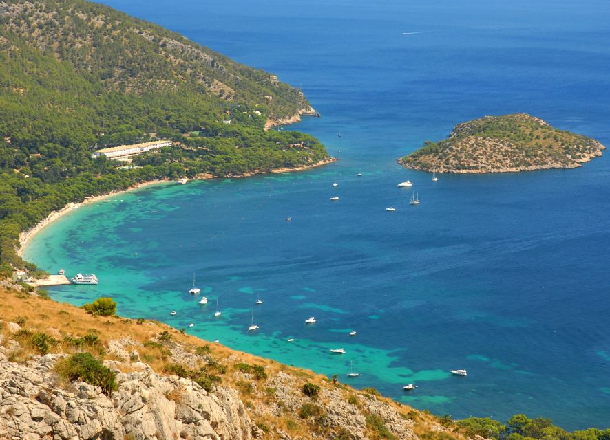 Alcudia: Trip to Formentor Beach - Price and value: is $46 per person worth it?