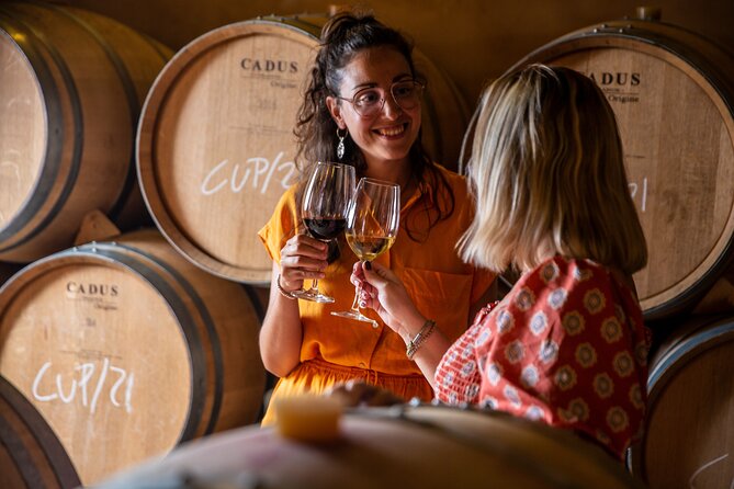 Alcudia Winecellar Tour with Vineyard Visit, Tasting of 5 Wines - The tasting of 5 wines plus locally sourced snacks