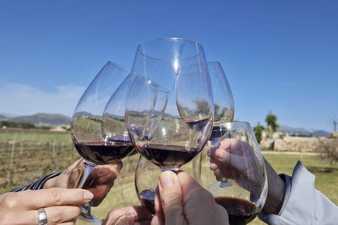 Alcudia Winecellar Tour with Vineyard Visit, Tasting of 5 Wines - Vineyard views included, so it isn’t all celler and glass