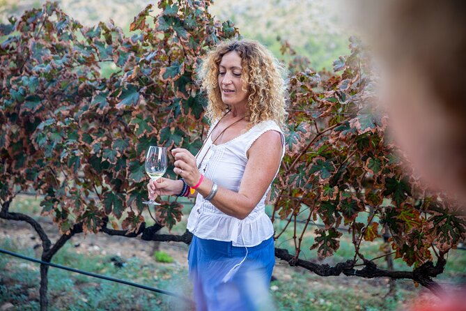 Alcudia Winecellar Tour with Vineyard Visit, Tasting of 5 Wines - Price, timing, and what makes this feel like good value