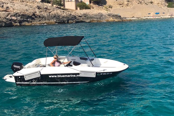 Bluemarine.me license free Bayliner Element E5 rental - Key highlights you’ll actually use