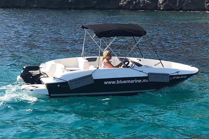 Bluemarine.me license free Bayliner Element E5 rental - Bayliner Element E5 in Mallorca, why it works for real people