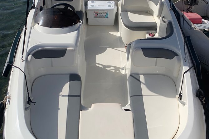 Bluemarine.me license free Bayliner Element E5 rental - Safety and the ladder lesson, what to take seriously before you go