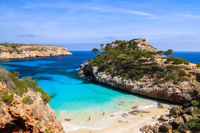 Boat tour from Cala Figuera to Caló del Moro and S´Almonia - Key Things You’ll Notice About This Tour (Before You Book)