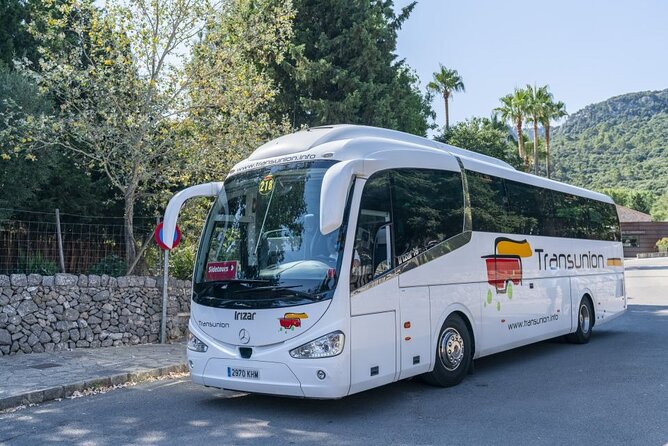 Boat, Tram and Train Tour in Mallorca from the South - Port de Sóller: Bay Time and a Proper Boat Segment