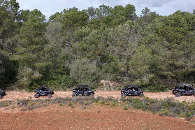 Buggy 2-seater and 4-seater Off-On Road Tour in Mallorca - Meeting, vehicle basics, and who this tour is really for