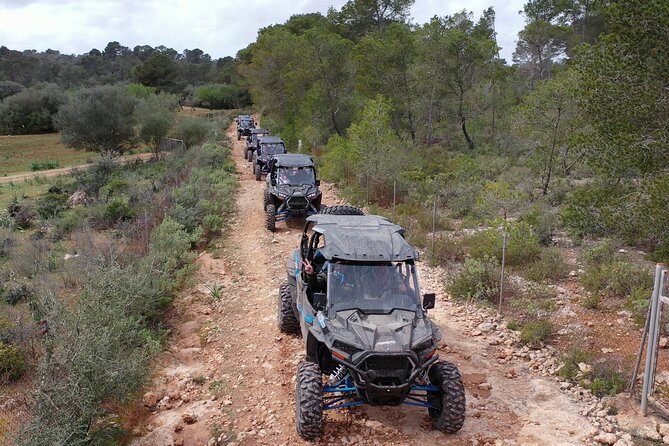Buggy 2-seater and 4-seater Off-On Road Tour in Mallorca - Automatic buggies, English guiding, and the small-team feel (even with up to 30 people)