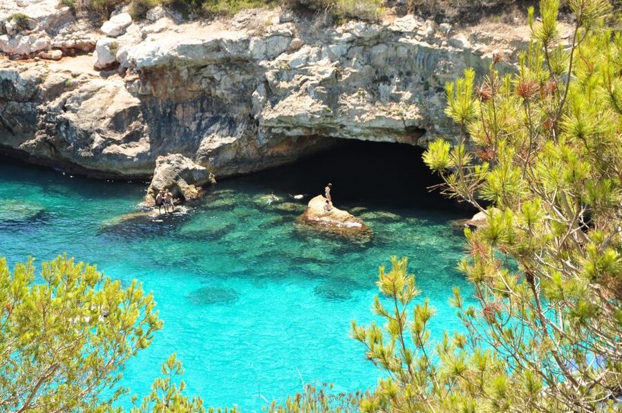 Cala des Moro/S'Almunia: Snorkel and SUP Tour - Key highlights I’d plan around