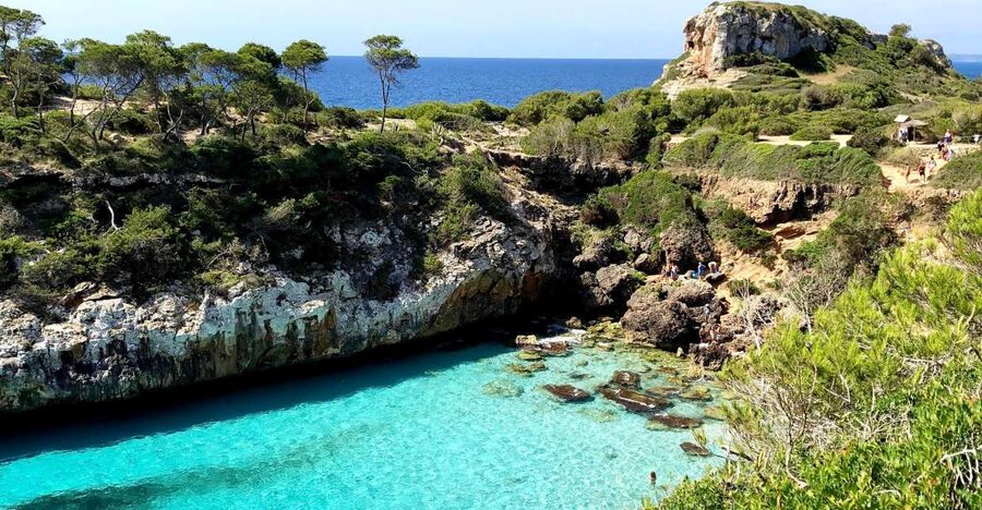 Cala des Moro/S'Almunia: Snorkel and SUP Tour - Price and logistics: what you’re really paying for
